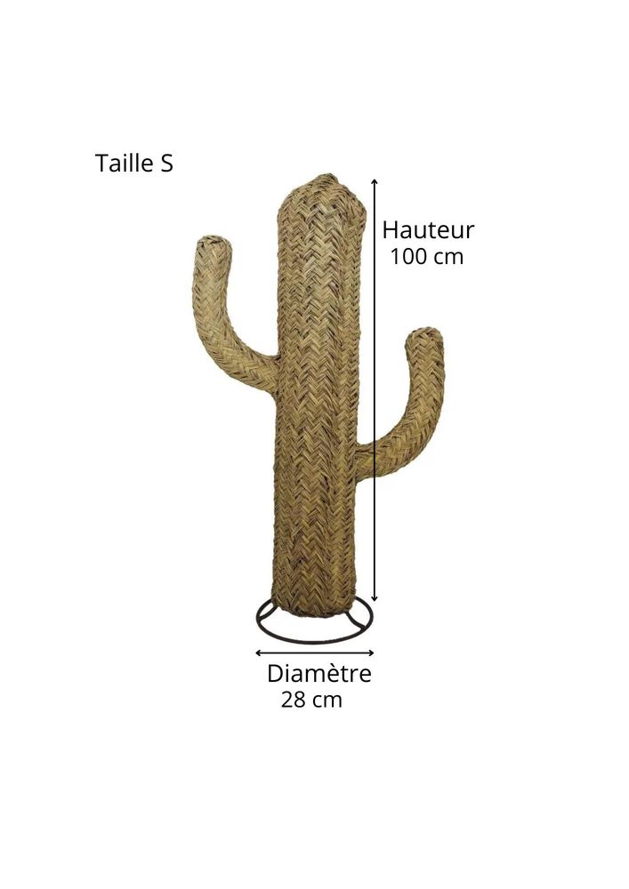 Decorative objects - Rope braided cactus - CACTUS - HYDILE