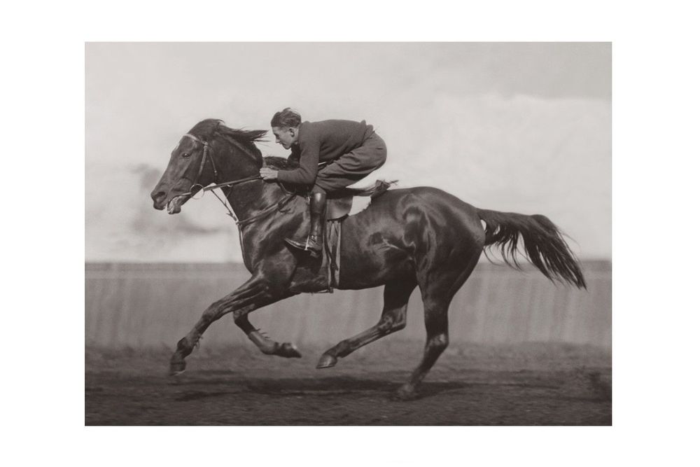 Cadres - CADRE EQUITATION 40 CAISSE AMERICAINE CHENE - KELEPOQ