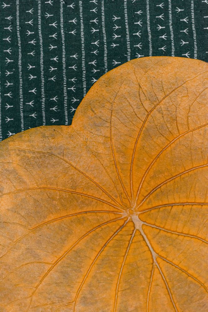 Design objects - Set de table CAPEBA Ocre - Feuille Amazonienne 100% caoutchouc naturel - SABIÁ DESIGN