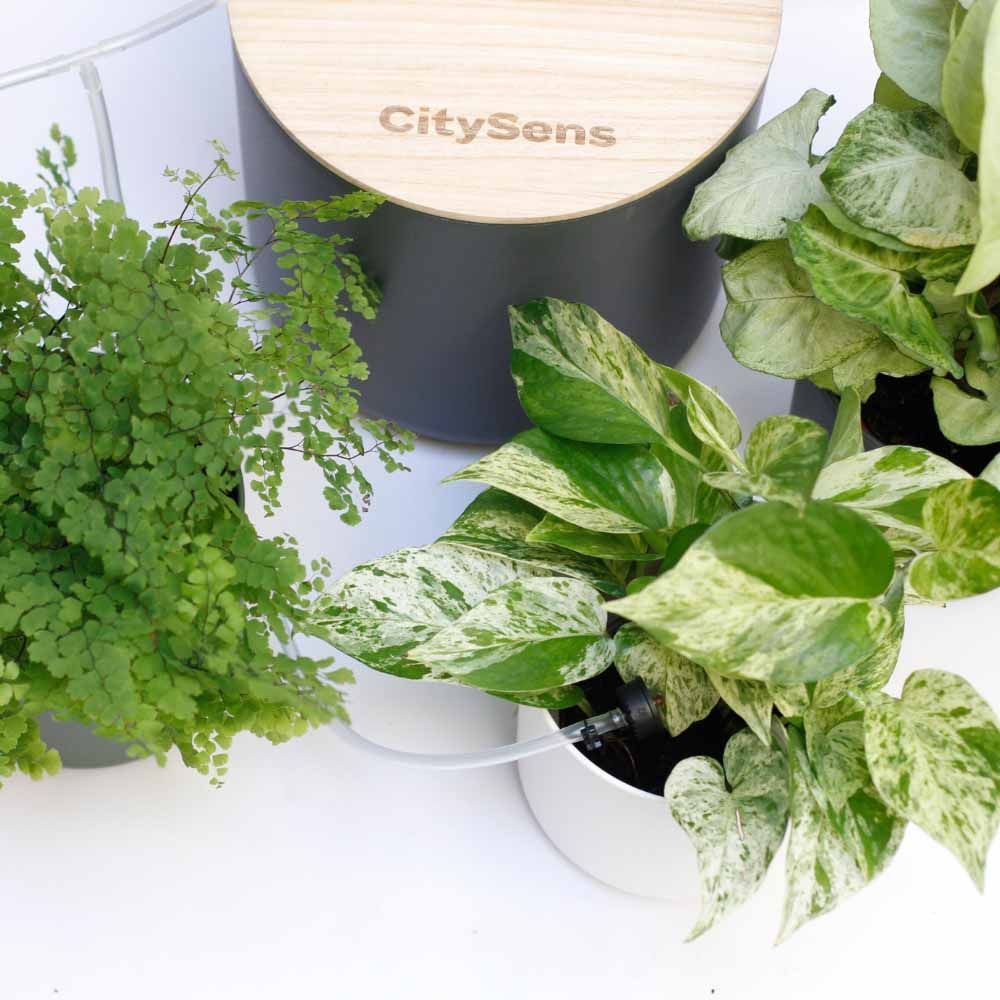 Office furniture and storage - Smart Drip Irrigation System - CITYSENS