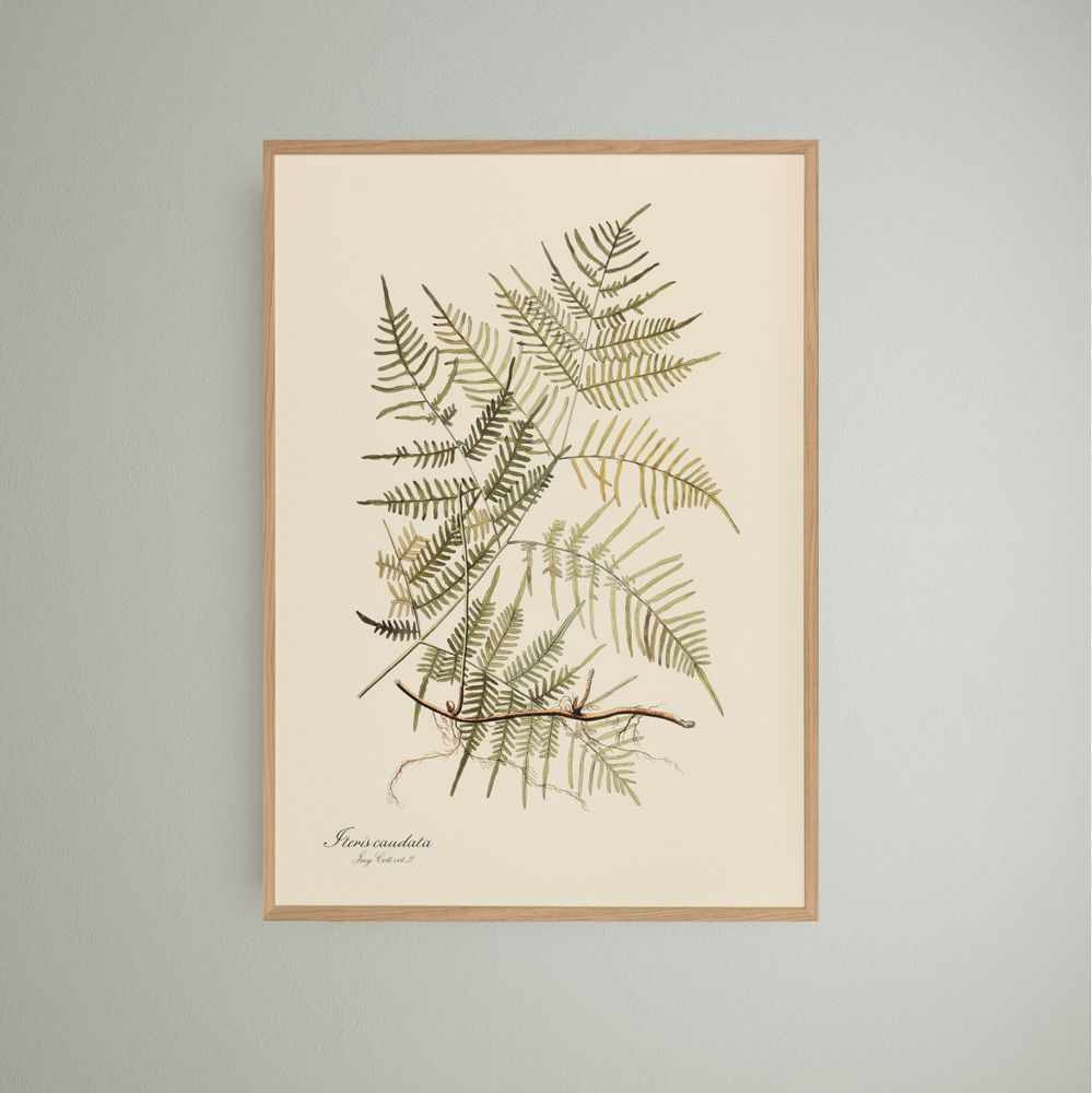 Cadres - Décoration murale. The Best of Nature / Lush and green - ABLO BLOMMAERT