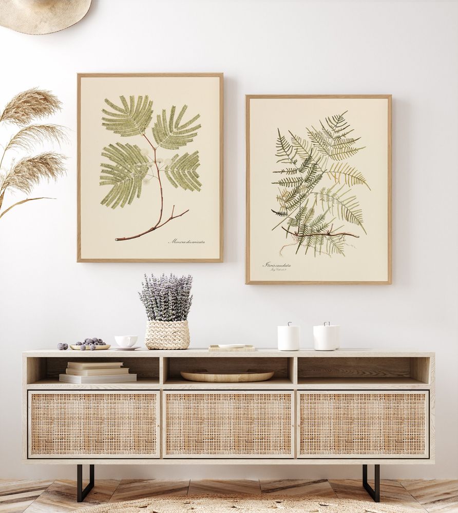 Cadres - Décoration murale. The Best of Nature / Lush and green - ABLO BLOMMAERT