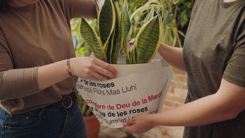 Vases - Wall Planters made from Reused Banners - CITYSENS