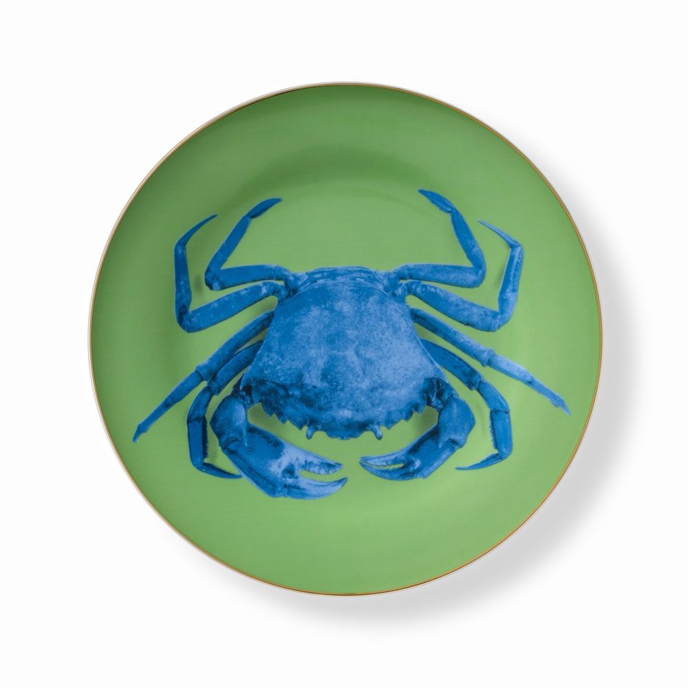 Everyday plates - Set of 4 - Dinner Plates Set Bi-Collor - HOME BY KRISTY