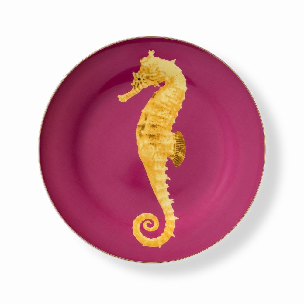 Everyday plates - Set of 4 - Dinner Plates Set Bi-Collor - HOME BY KRISTY