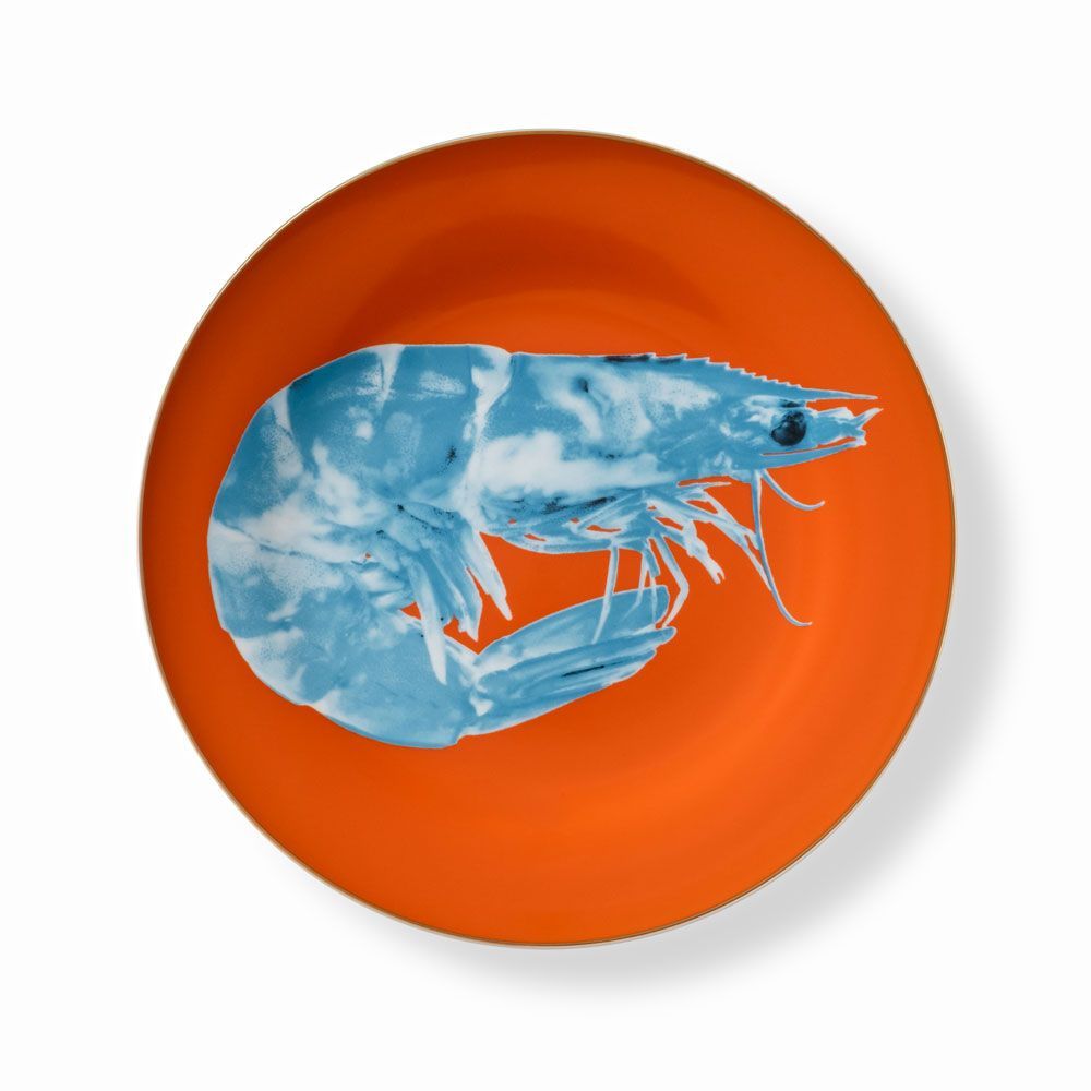 Everyday plates - Set of 4 - Dinner Plates Set Bi-Collor - HOME BY KRISTY