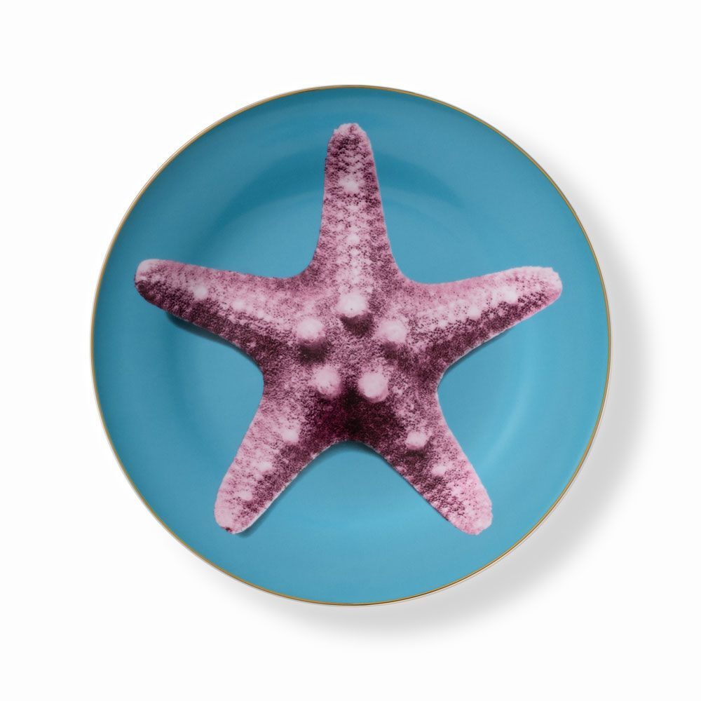 Everyday plates - Set of 4 - Dinner Plates Set Bi-Collor - HOME BY KRISTY