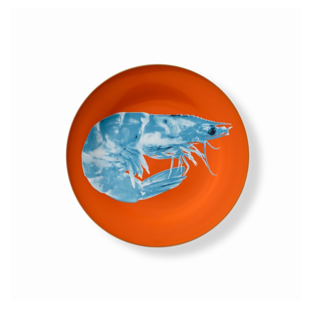 Everyday plates - Set of 4 Dessert Plates Set Bi-Color - HOME BY KRISTY