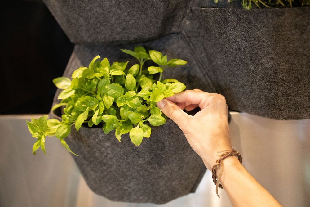 Floral decoration - CitySens Self-Watering Wall Planter with Textile Cover - CITYSENS