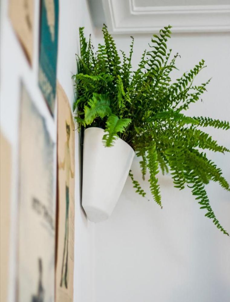 Vases - Wall Planters - CITYSENS