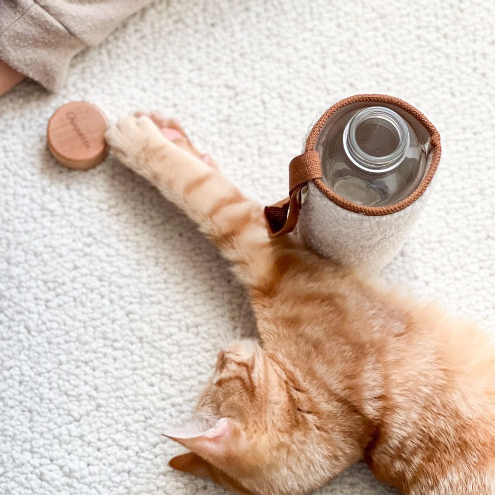 Homewear - Gourde éco-conçue verre recyclé et housse isotherme, garantie à vie, CHOPETTE BOUCLETTES - LITTLE POTS