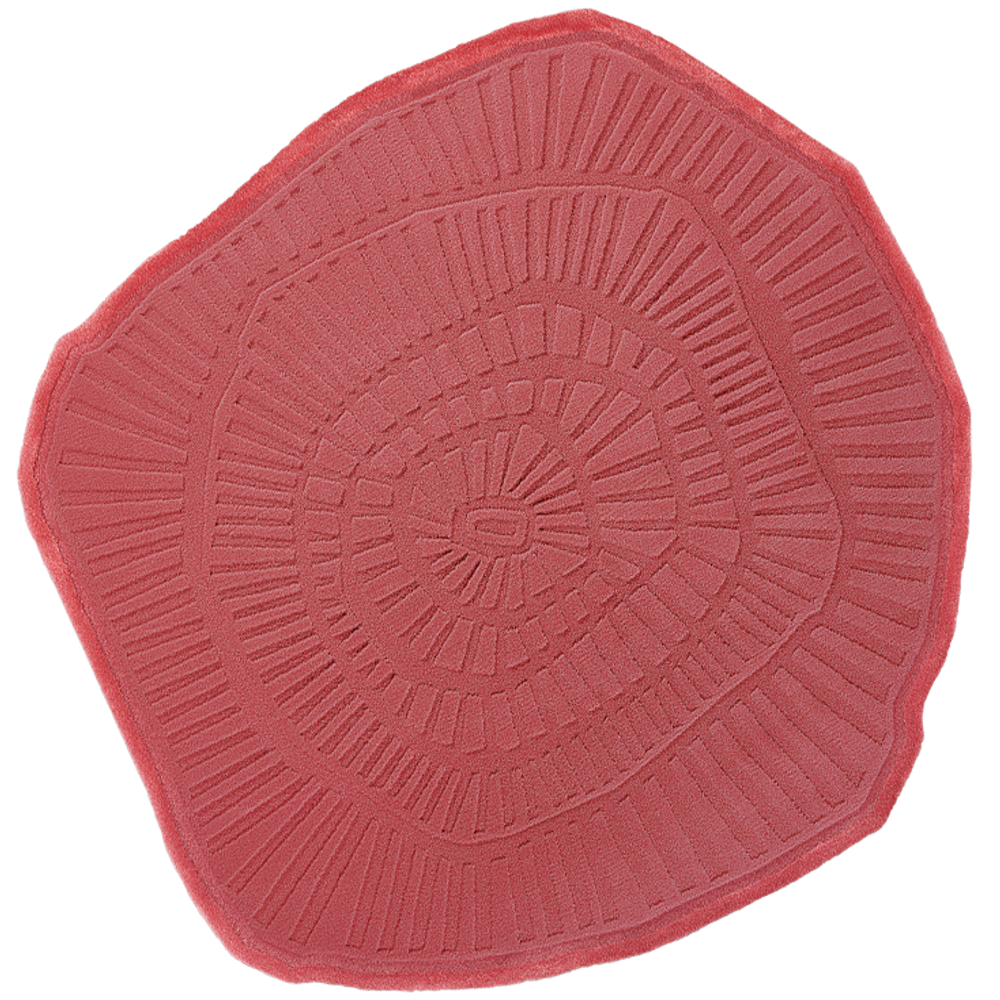 Tapis sur-mesure - Tapis Anemone - FERREIRA DE SÁ RUGS