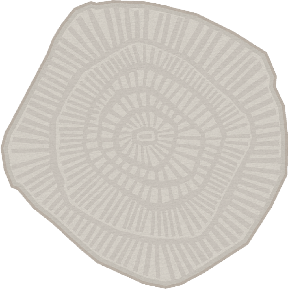 Tapis sur-mesure - Tapis Anemone - FERREIRA DE SÁ RUGS