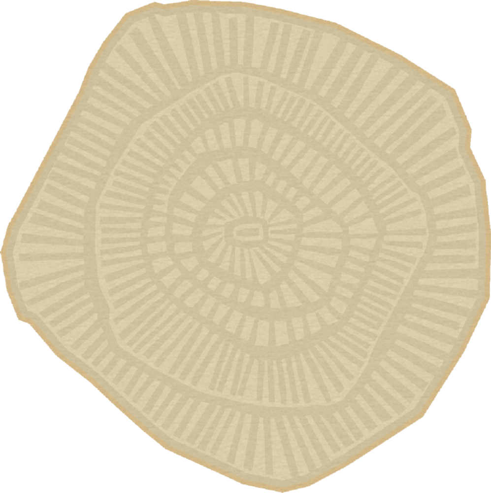 Tapis sur-mesure - Tapis Anemone - FERREIRA DE SÁ RUGS