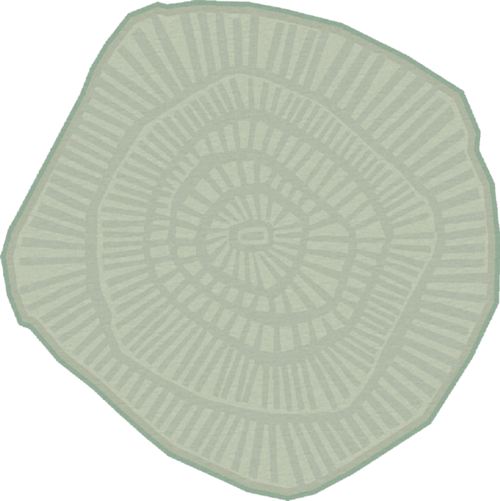 Tapis sur-mesure - Tapis Anemone - FERREIRA DE SÁ RUGS