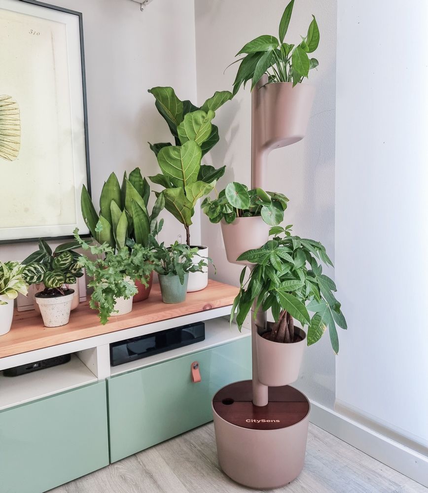 Other smart objects - SMART Self-Watering Vertical Planter compatible with Alexa or Google Assist - CITYSENS