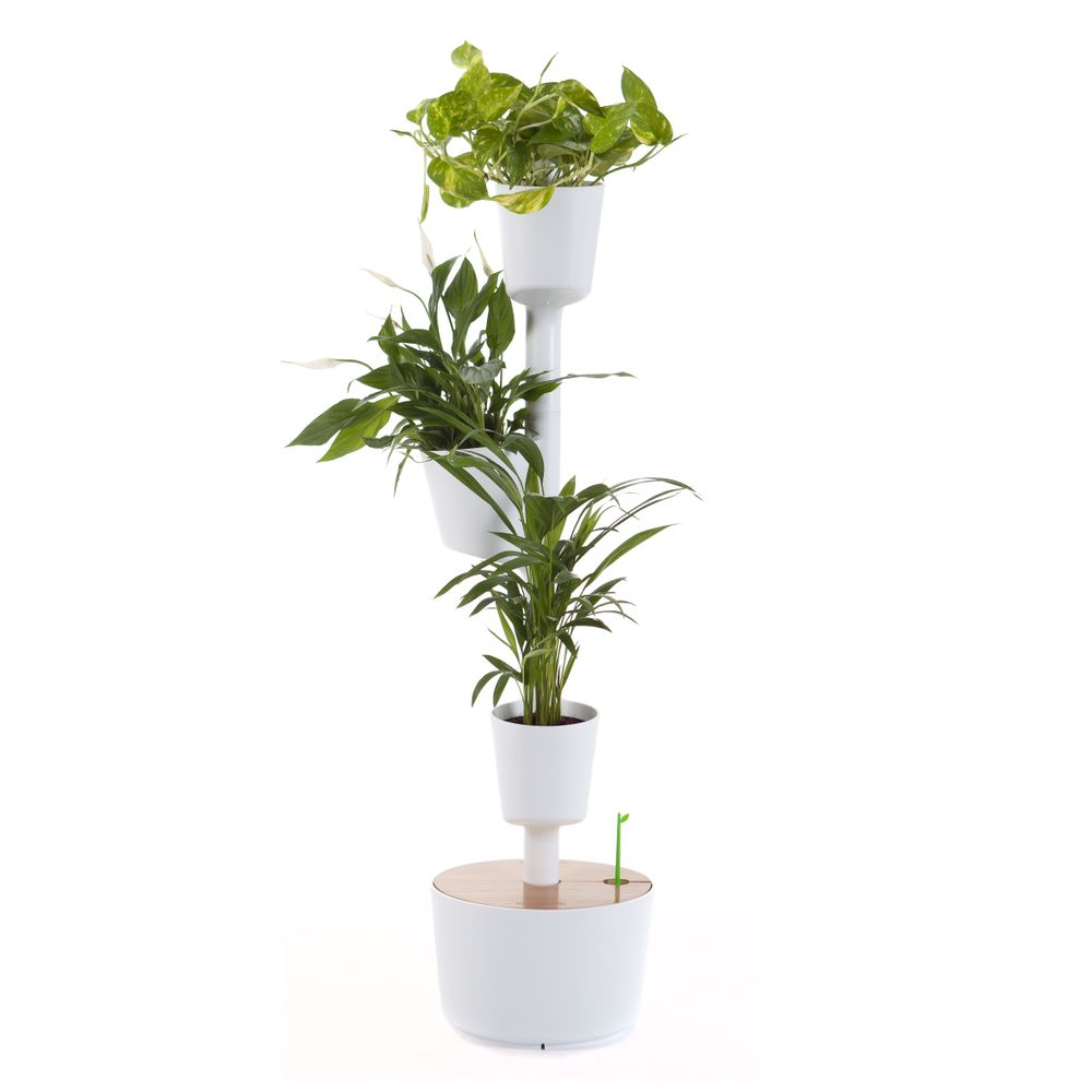 Other smart objects - SMART Self-Watering Vertical Planter compatible with Alexa or Google Assist - CITYSENS