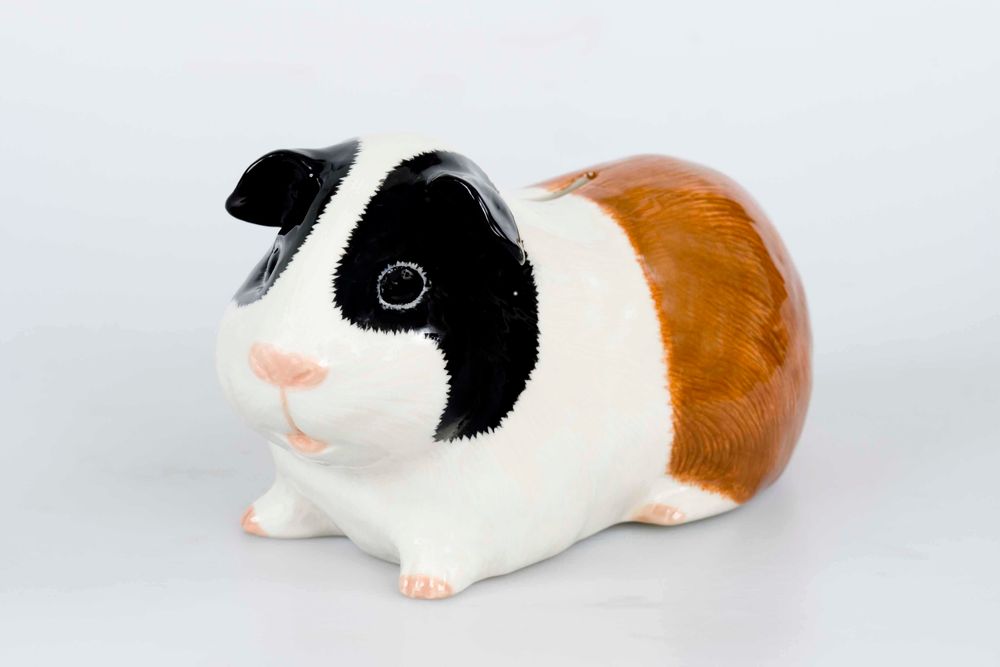 Objets déco enfant - accessoires décoratif - Tirelire chat - QUAIL DESIGNS EUROPE BV