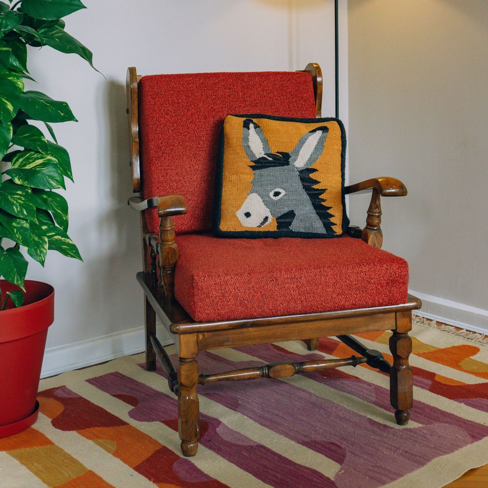 Cushions - Donkey Handwoven Throw Pillow - STUDIO POTATO