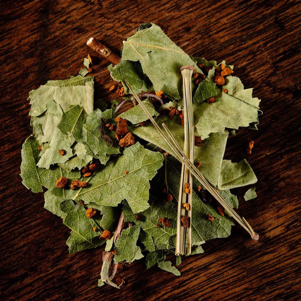 Café et thé - CHAGA - Adaptogène / Immunité & Antioxydant - TEA TRIBES & CO.