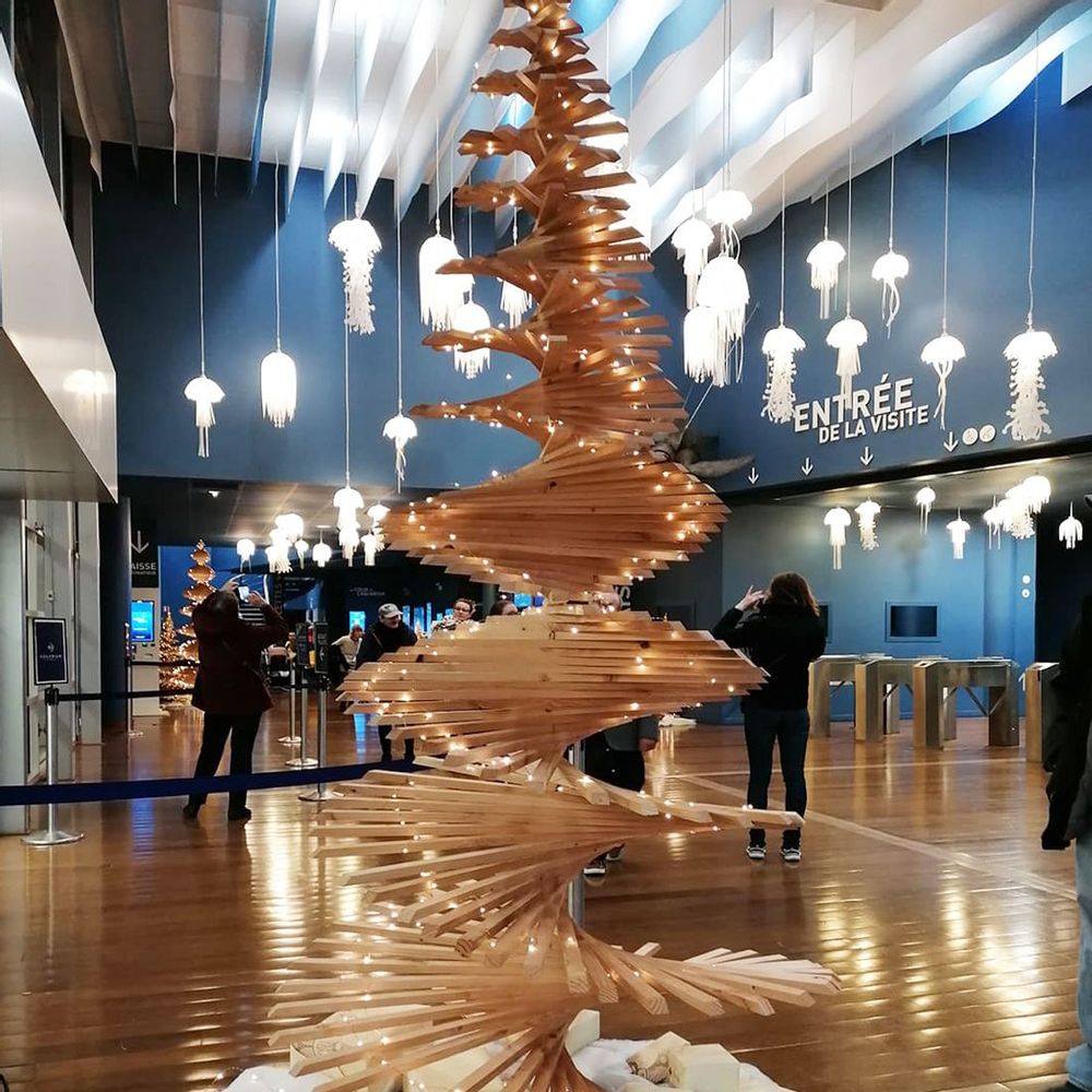 Autres décorations de Noël - MON SAPIN WOODY® 300 CM - MARCEL ET EUGENE - MON SAPIN WOODY®
