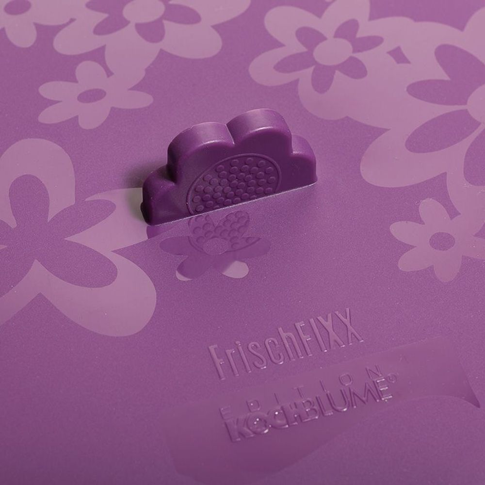 Boîtes de conservation - Couvercle hermétique en silicone FrischFixx - Kochblume - COOKJENY