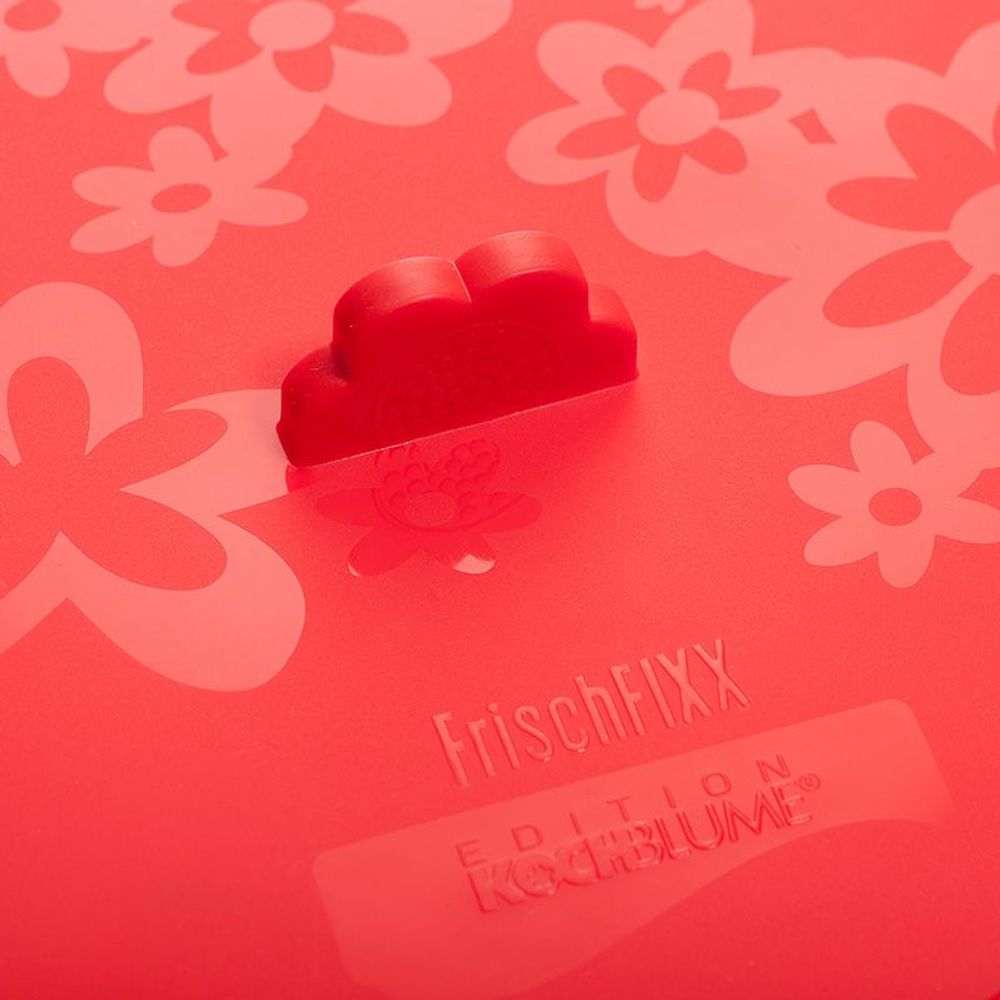 Boîtes de conservation - Couvercle hermétique en silicone FrischFixx - Kochblume - COOKJENY