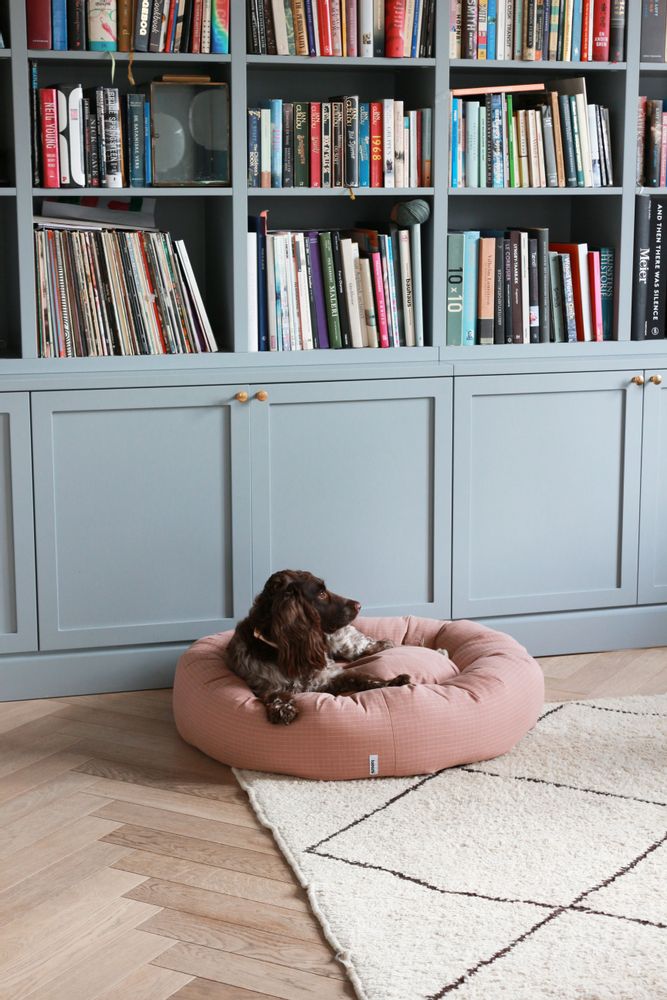 Pet accessories - Donut bed - TADAZHI