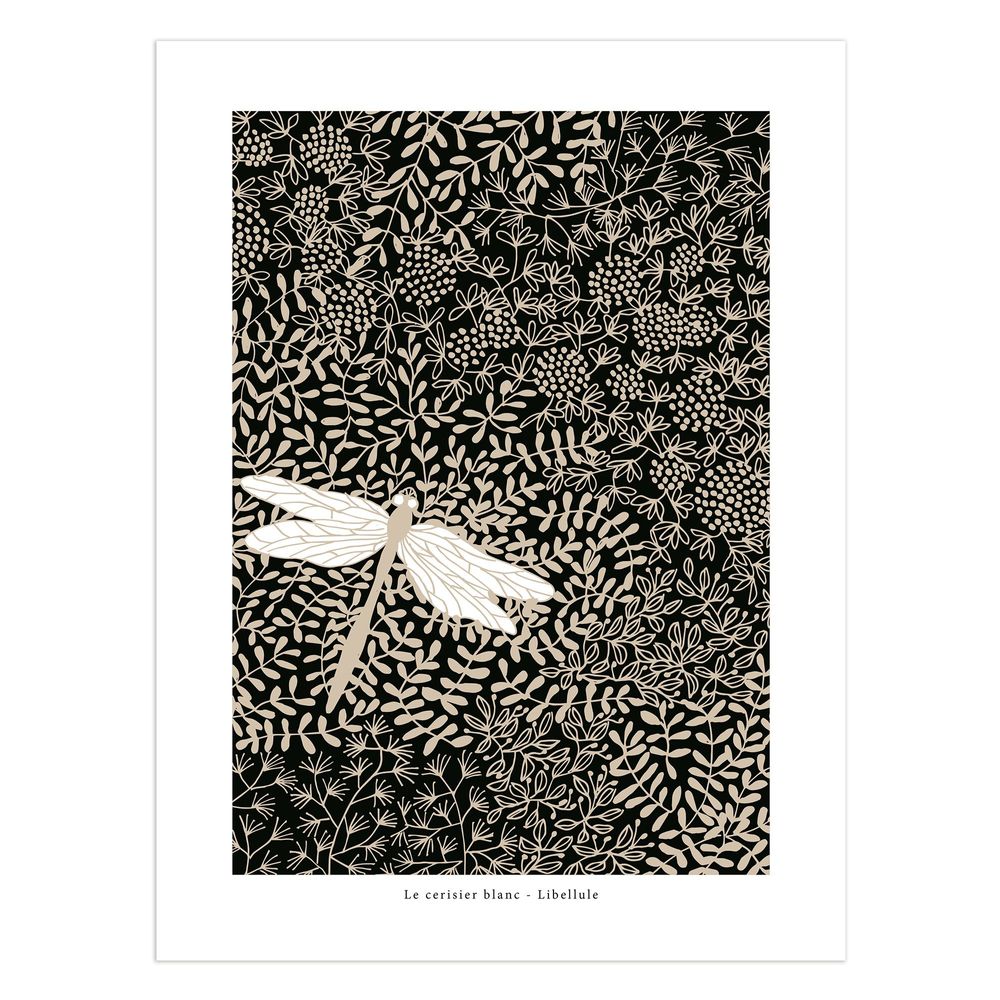 Poster - Dragonfly poster - LE CERISIER BLANC