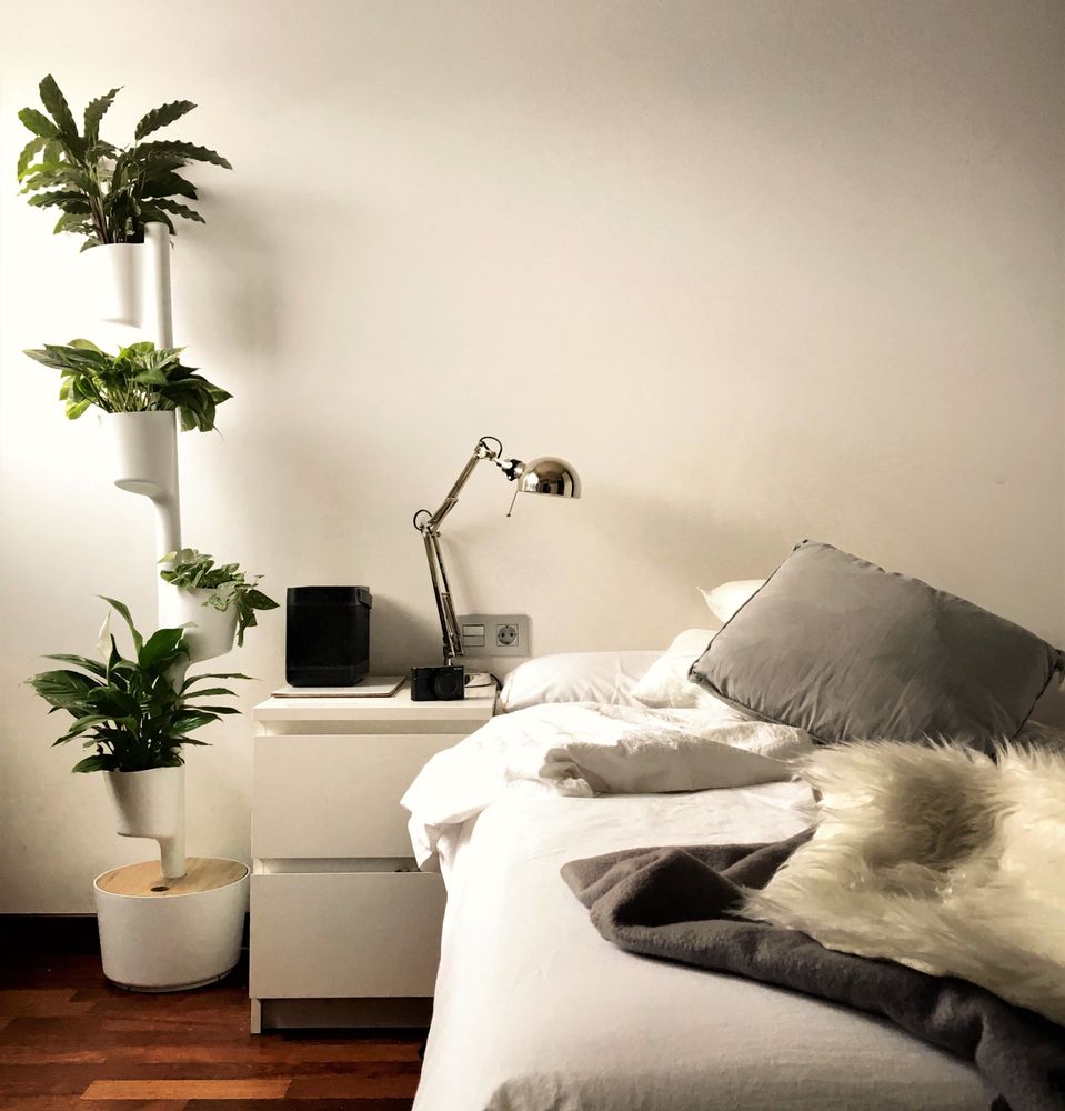 Mobilier et rangements pour bureau - Jardinière verticale pour 4 plantes - CITYSENS