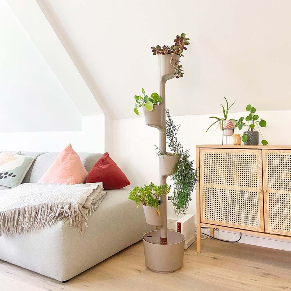 Mobilier et rangements pour bureau - Jardinière verticale pour 4 plantes - CITYSENS