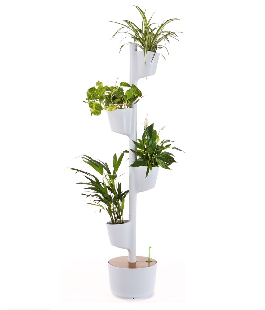 Mobilier et rangements pour bureau - Jardinière verticale pour 4 plantes - CITYSENS