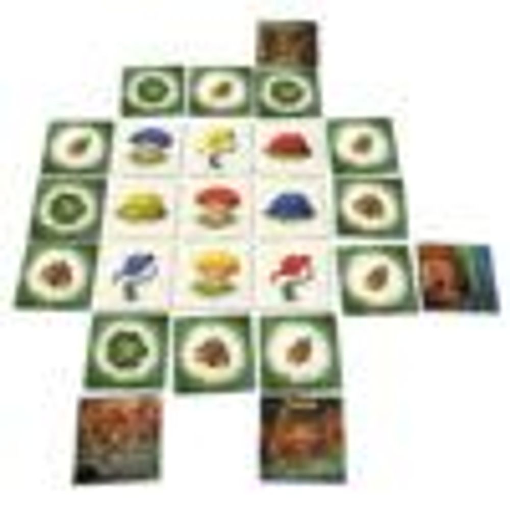 Jeux enfants - Jeu Le Bois des Couadsous - JEUX OPLA