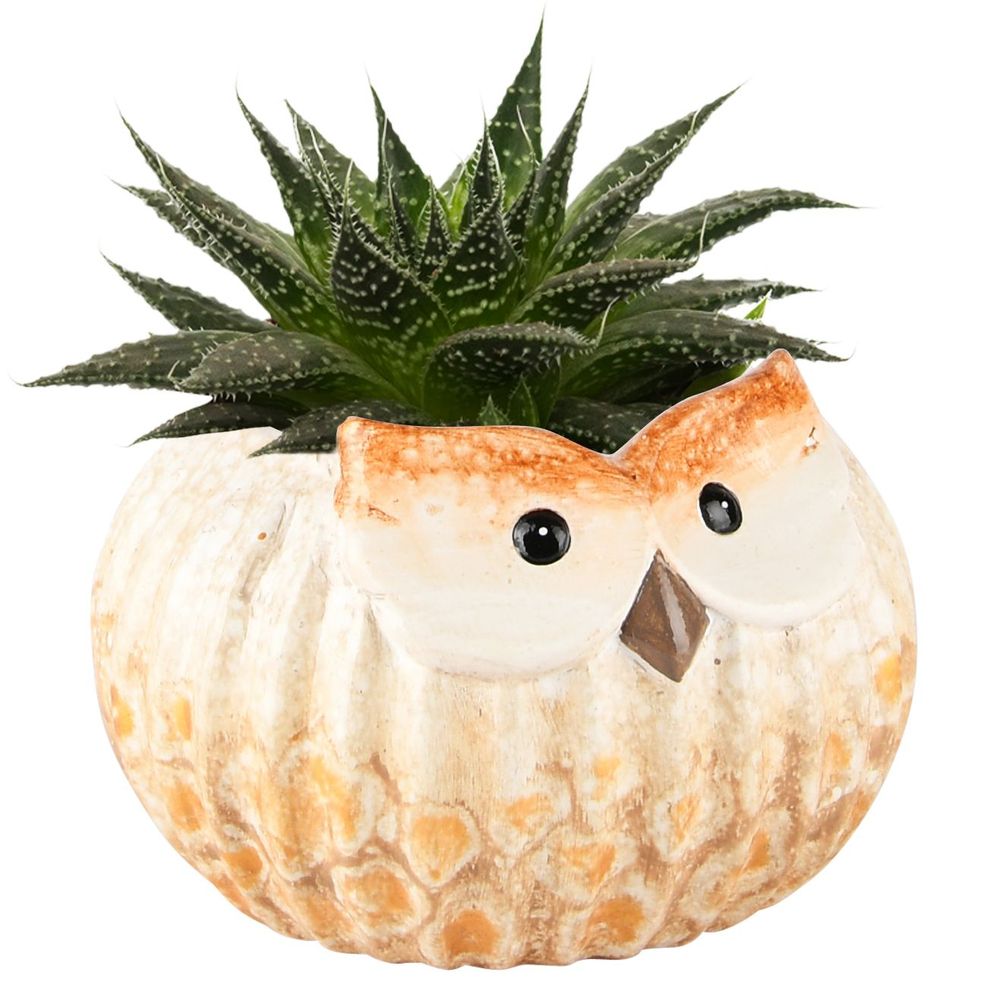 Autres décorations de Noël - Lueur de Couleurs - Aquarel Orange - DEKORATIEF