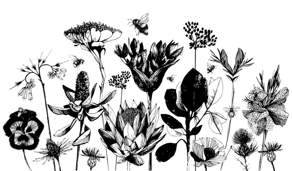 Tapestries - Wildflowers Panoramic Wallpaper - ACTE-DECO