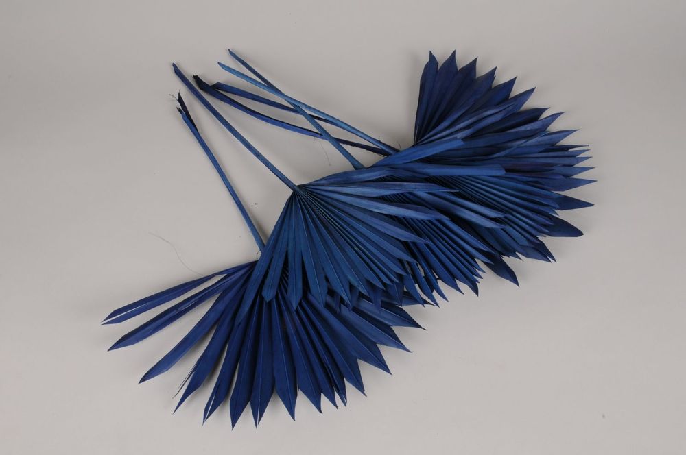 Floral decoration - Palm sun dried blue H50cm - LE COMPTOIR.COM