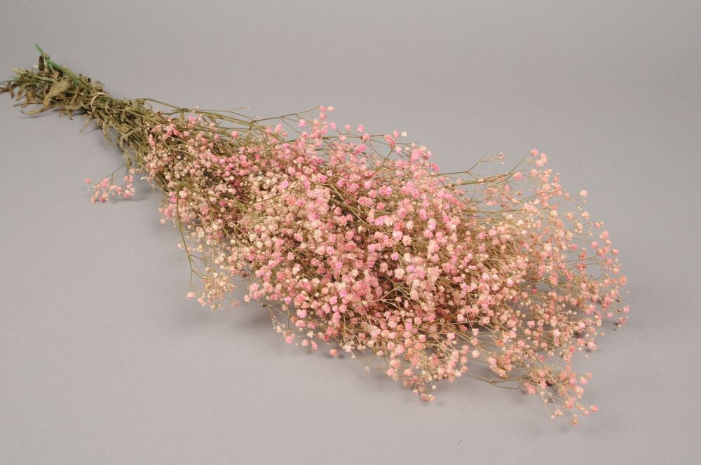 Floral decoration - Pink preserved panicle gypsophila H75cm - LE COMPTOIR.COM