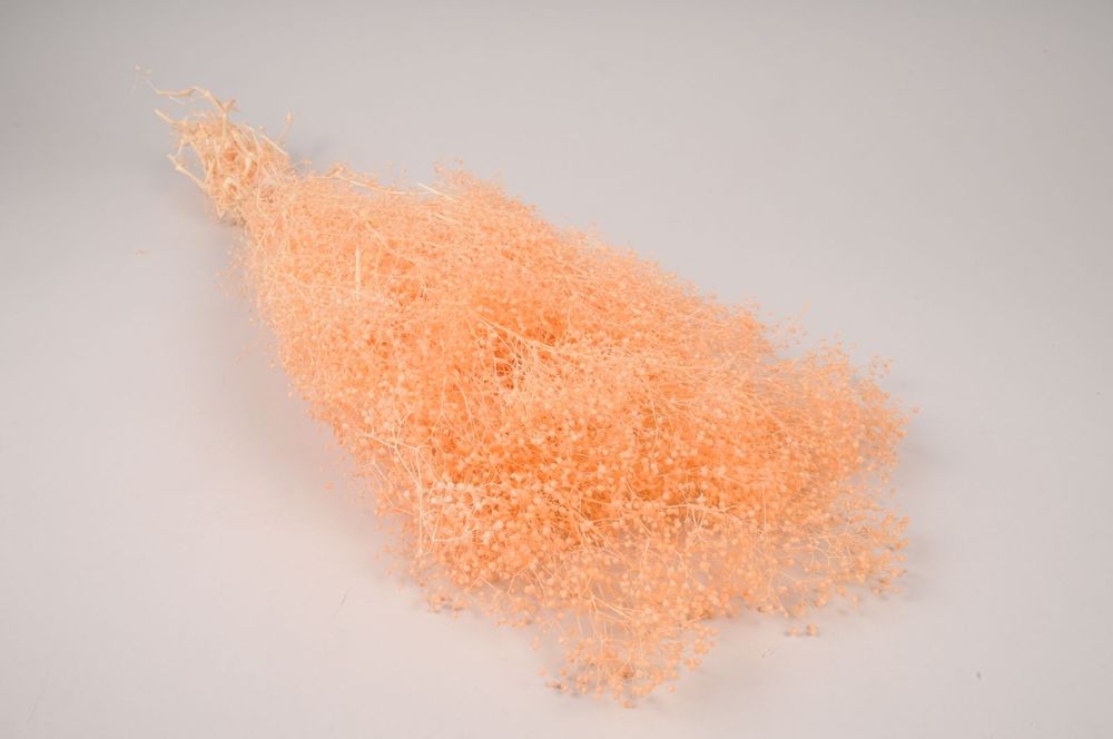 Décorations florales - Gypsophile préservé pêche H60cm - LE COMPTOIR.COM