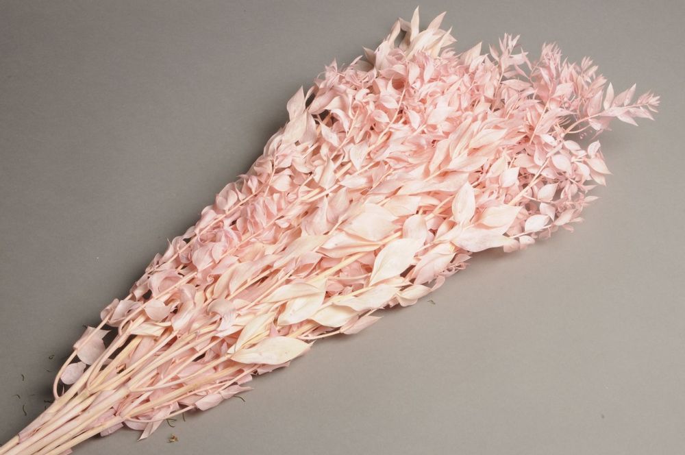 Floral decoration - Preserved pink ruscus H75cm - LE COMPTOIR.COM