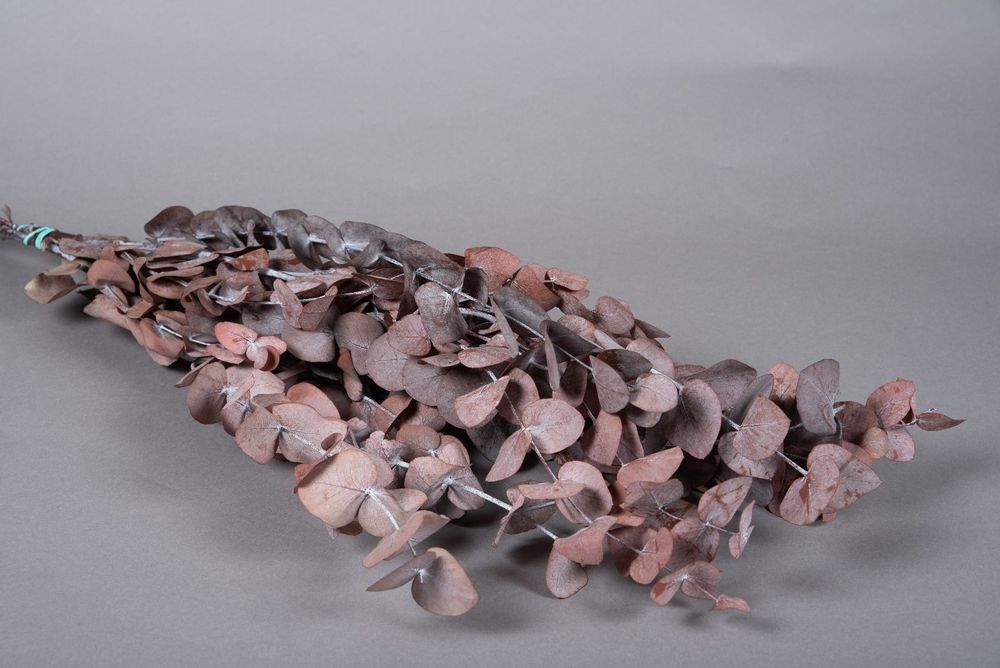 Floral decoration - Eucalyptus espiral stabilized red H75cm - LE COMPTOIR.COM