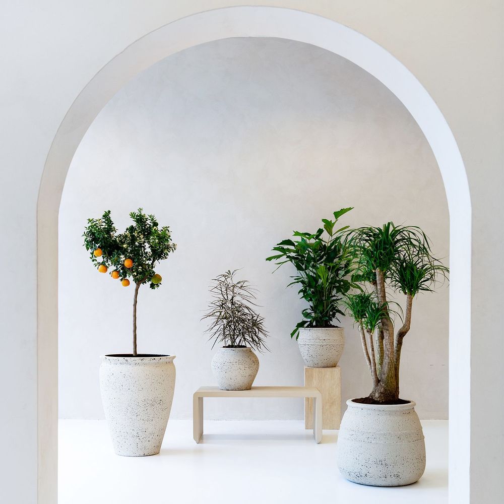 Flower pots - Mediterranean collection - POTTERY POTS