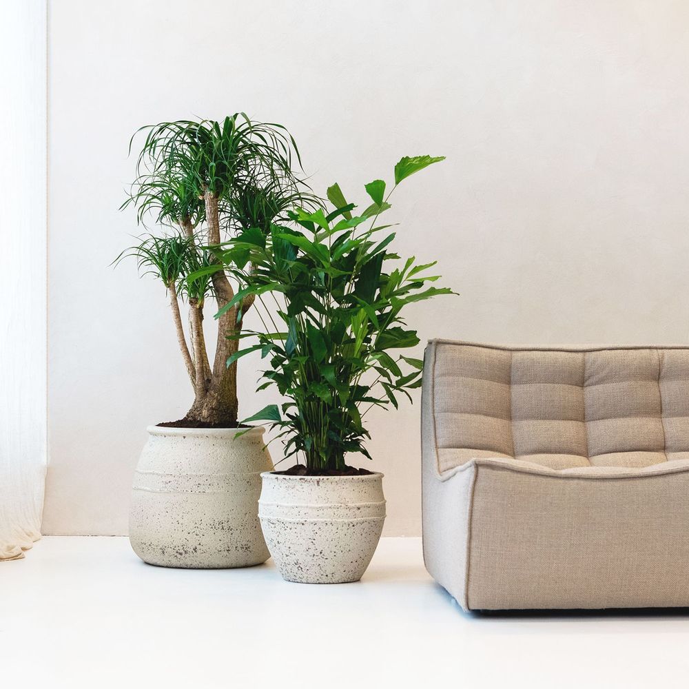 Flower pots - Mediterranean collection - POTTERY POTS