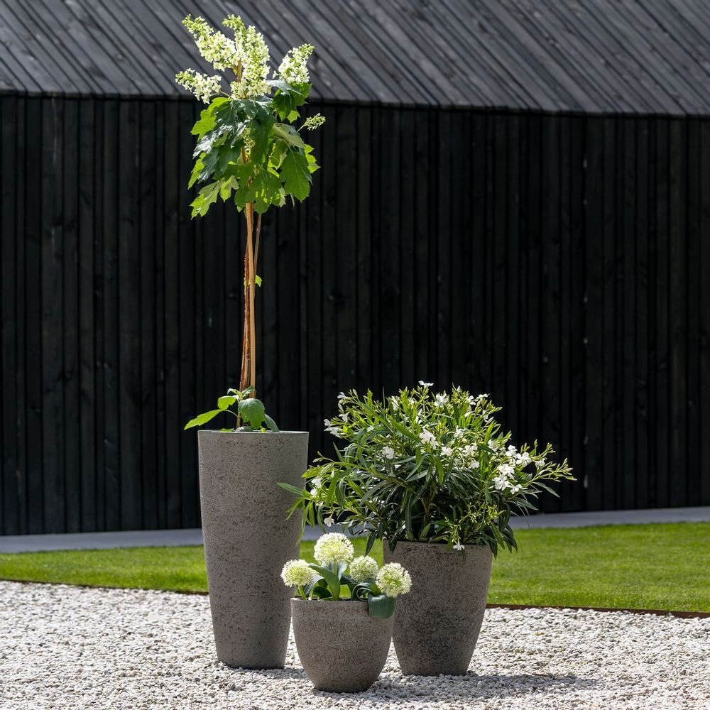 Flower pots - Cement & Stone Collection - POTTERY POTS