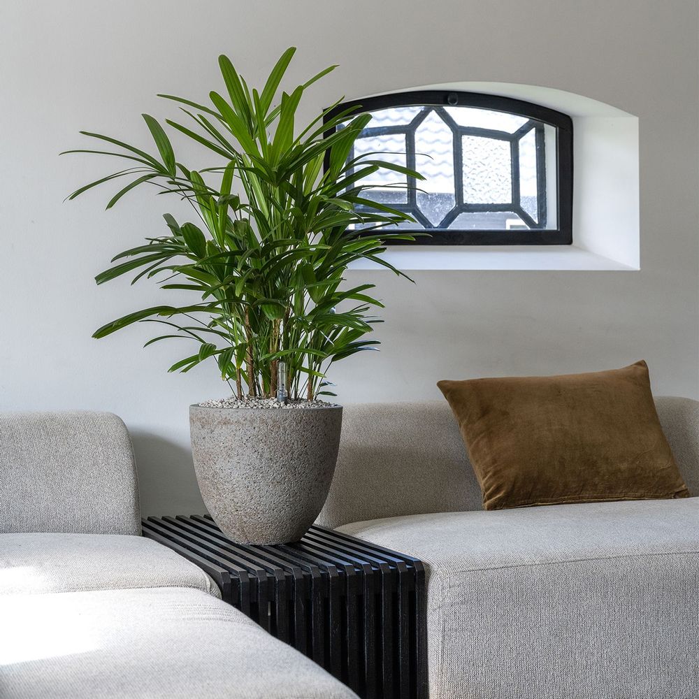 Flower pots - Cement & Stone Collection - POTTERY POTS