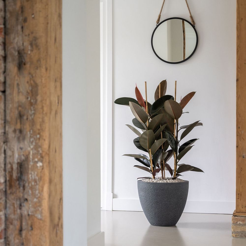 Flower pots - Granite Collection - POTTERY POTS