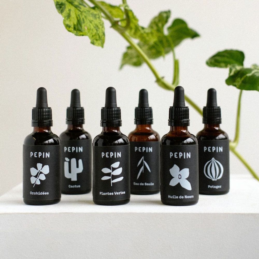 Accessoires de jardinage - Serum nourrissant - Plantes Vertes (engrais) - PEPIN