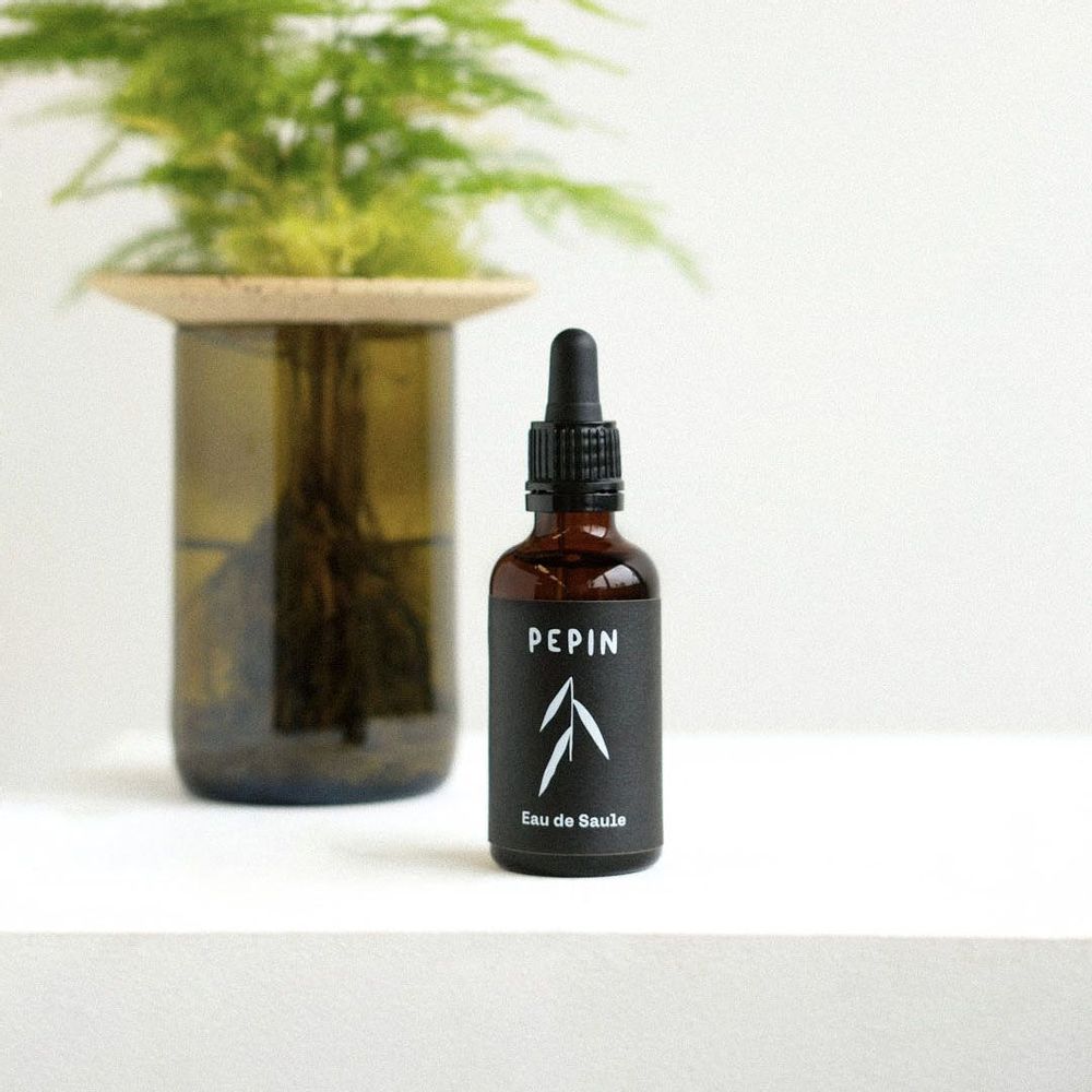 Accessoires de jardinage - Eau de saule (bouturage & rempotage) - PEPIN