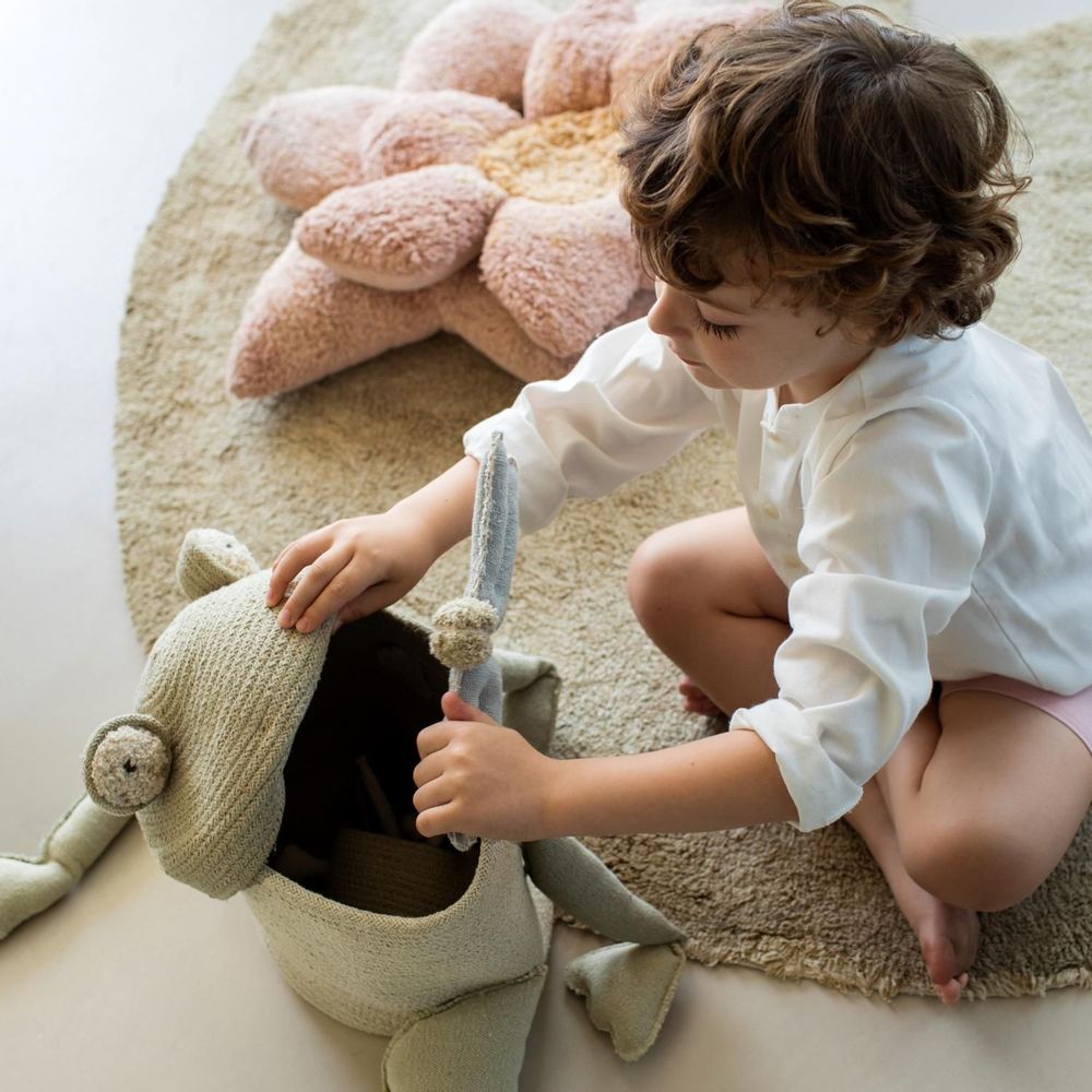 Soft toy - Basket Fred the Frog - LORENA CANALS