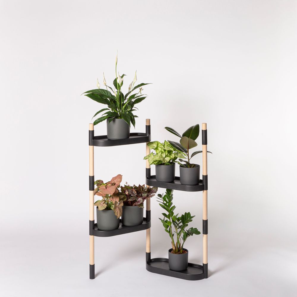 Etagères - Étagère Pour Plantes - 4 Plateaux - CITYSENS