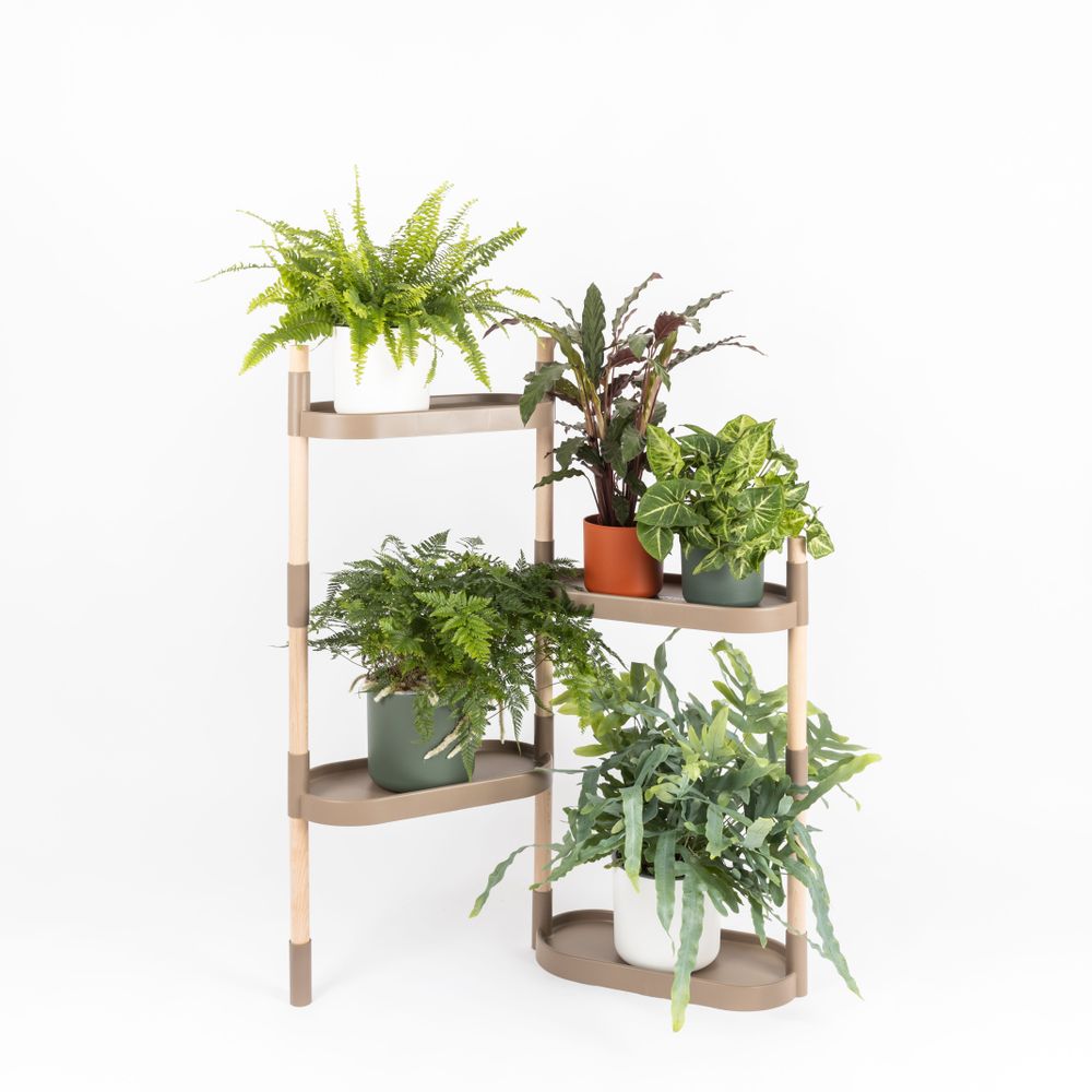 Etagères - Étagère Pour Plantes - 4 Plateaux - CITYSENS
